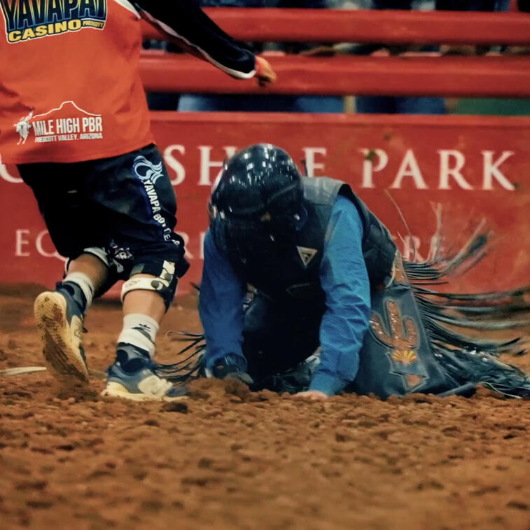 Colorist Life Cider X